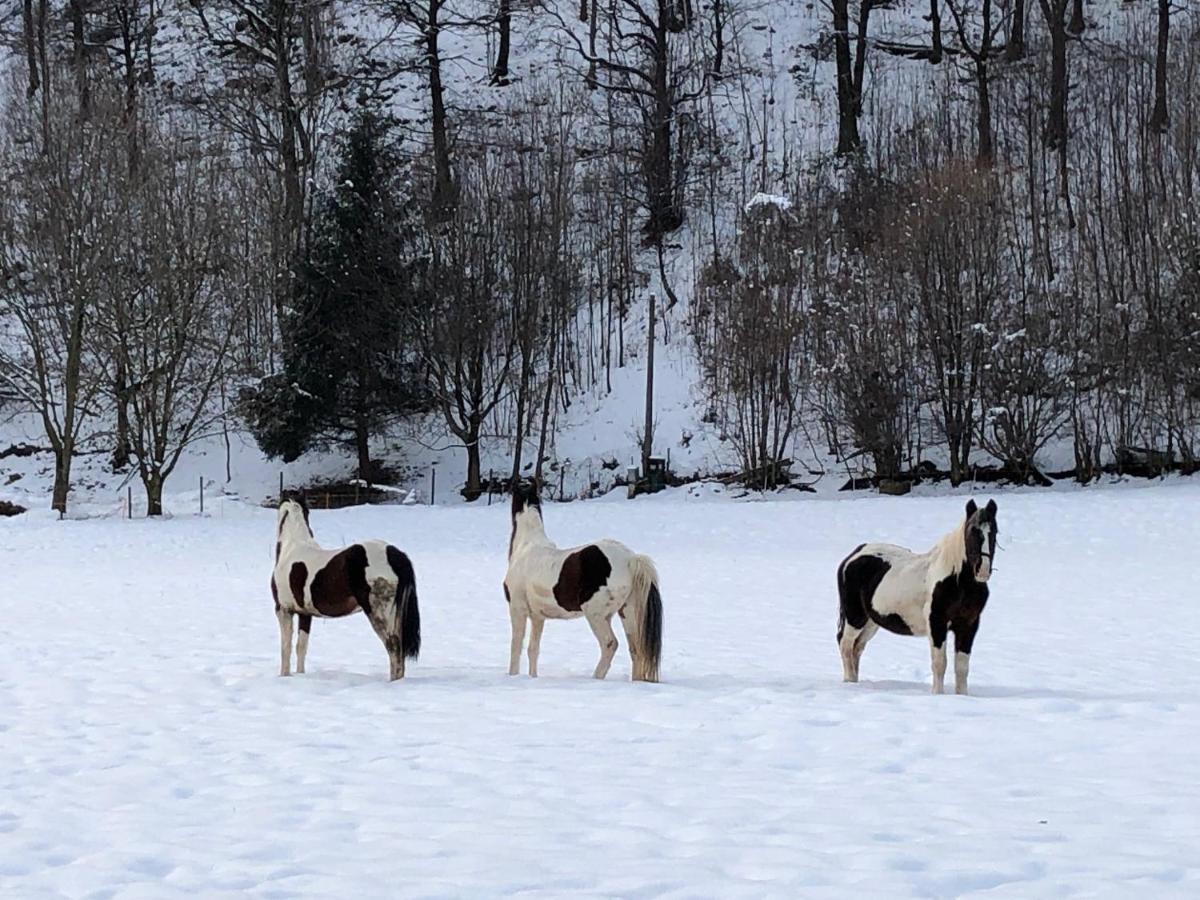Il Bosco - vicino al lago, vicino alle montagne Ballabio Esterno foto